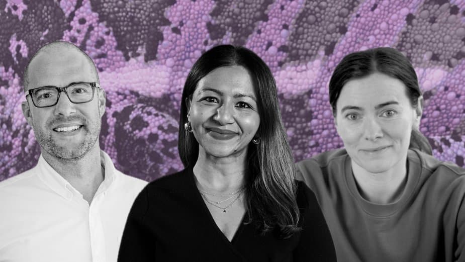 Career Chameleons: Strategy & Transformation